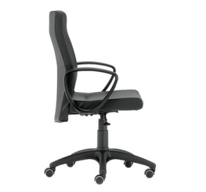 Morena Dirigent Ospiti